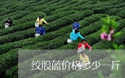 绞股蓝价格多少一斤/2023041604827