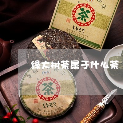 绿大树茶属于什么茶/2023041648271