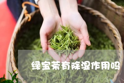 绿宝茶有除湿作用吗/2023041585140