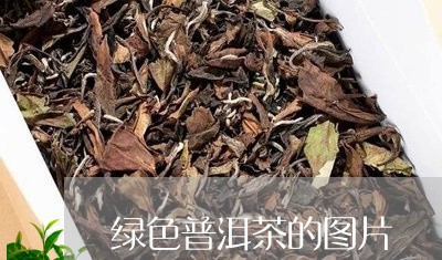 绿色普洱茶的图片/2023040907583