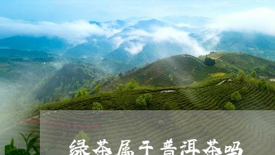 绿茶属于普洱茶吗/2023041324948