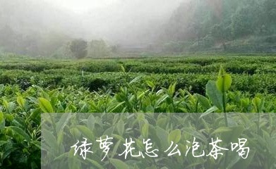 绿萝花怎么泡茶喝/2023032440726