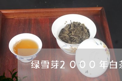 绿雪芽2000年白茶金砖/2023033092837