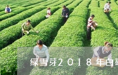 绿雪芽2018年白毫银针/2023033081818