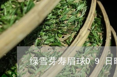 绿雪芽寿眉球09日晒价格/2023033046279