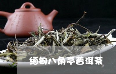 缅甸八角亭普洱茶/2023033060604