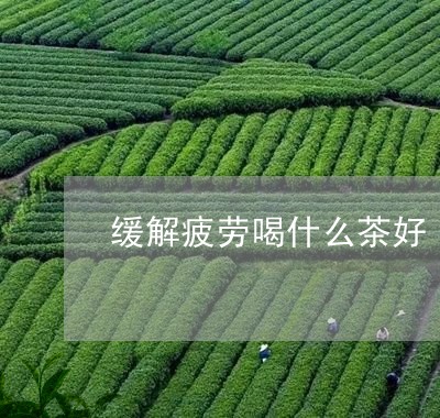 缓解疲劳喝什么茶好/2023041662793