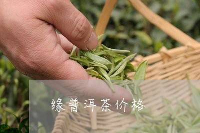 缘普洱茶价格/2023031785715