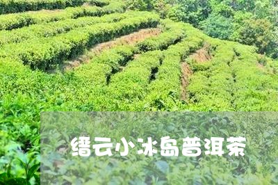 缙云小冰岛普洱茶/2023041212693