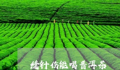 缝针伤能喝普洱茶/2023040153715