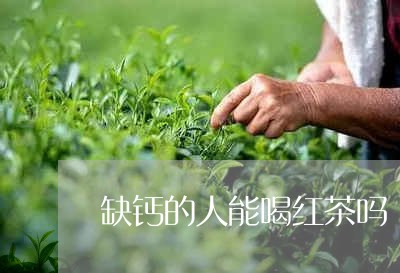 缺钙的人能喝红茶吗/2023041538393