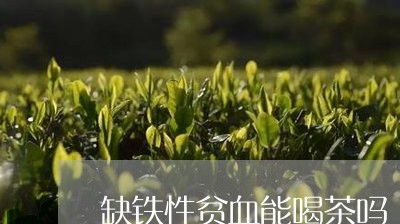 缺铁性贫血能喝茶吗/2023041650827