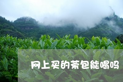 网上买的茶包能喝吗/2023041459694