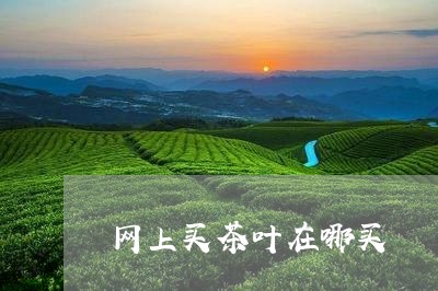 网上买茶叶在哪买/2023032572783