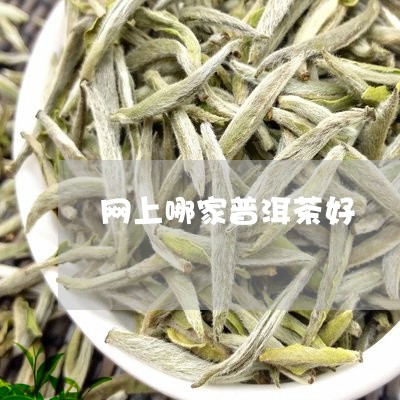 网上哪家普洱茶好/2023041284960