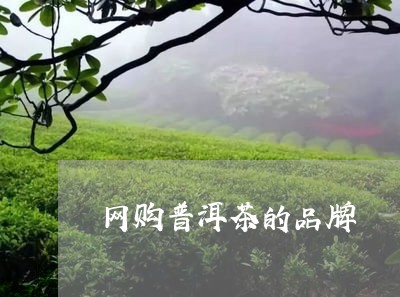 网购普洱茶的品牌/2023041326381