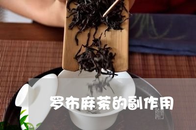 罗布麻茶的副作用/2023032461516