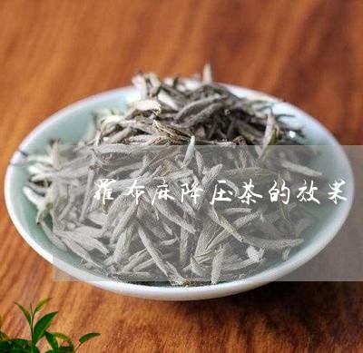 罗布麻降压茶的效果/2023041726158