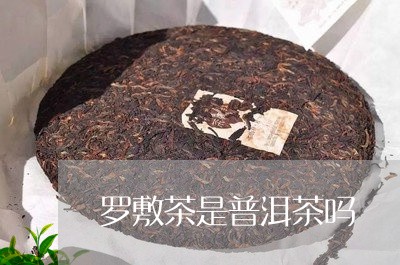 罗敷茶是普洱茶吗/2023041152524