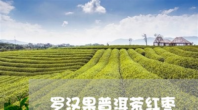 罗汉果普洱茶红枣/2023031857251