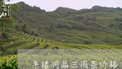 羊楼洞品三国茶价格/2023041647258