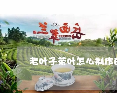 老叶子茶叶怎么制作白茶/2023032748482