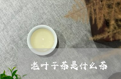 老叶子茶是什么茶/2023032456846