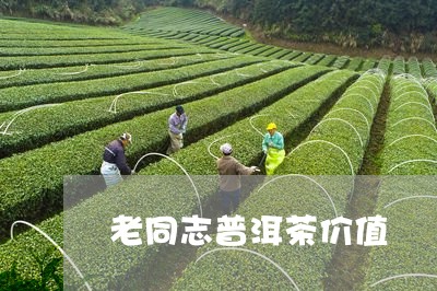 老同志普洱茶价值/2023040962795