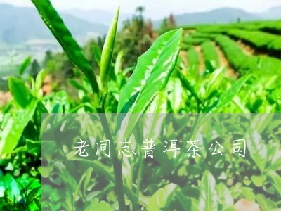 老同志普洱茶公司/2023041242938