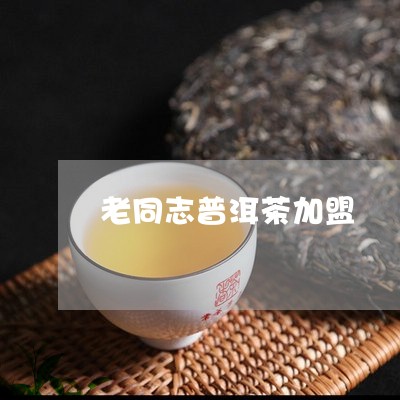 老同志普洱茶加盟/2023041473878