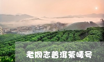 老同志普洱茶唛号/2023041193615