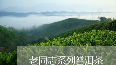 老同志系列普洱茶/2023041026263