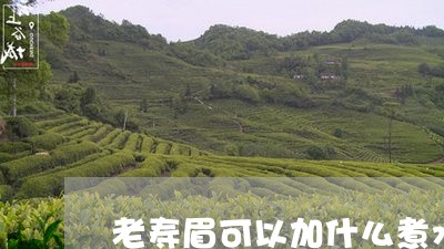 老寿眉可以加什么煮水饮/2023032784948