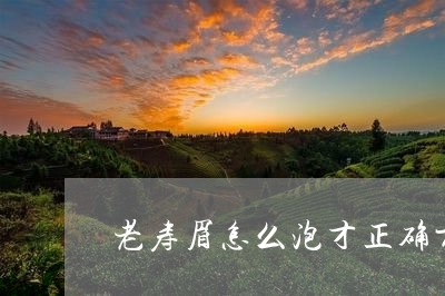 老寿眉怎么泡才正确方法/2023032735459