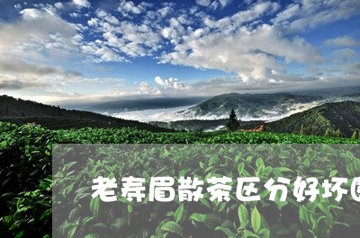 老寿眉散茶区分好坏图片/2023032722795