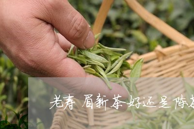 老寿眉新茶好还是陈茶好/2023032715937