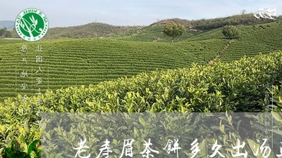 老寿眉茶饼多久出汤正常/2023032714948