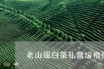 老山谣白茶礼盒价格图片/2023032715057