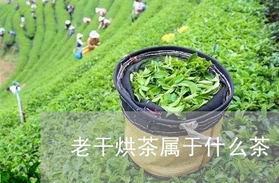 老干烘茶属于什么茶/2023031932703