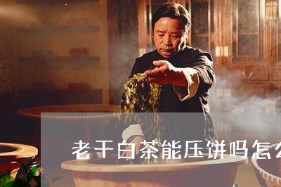 老干白茶能压饼吗怎么压/2023032700584