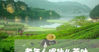 老年人喝什么茶叶/2023032704037