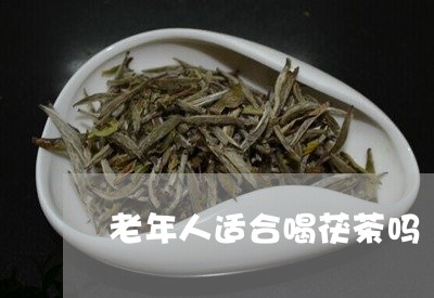 老年人适合喝茯茶吗/2023041615168