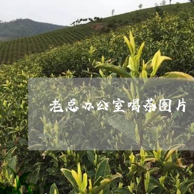 老总办公室喝茶图片/2023041694027