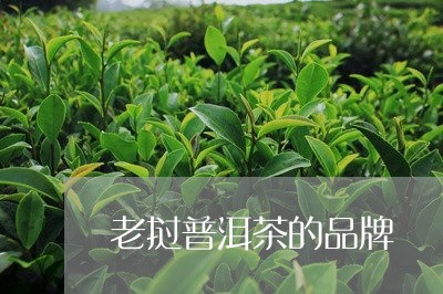 老挝普洱茶的品牌/2023040917260