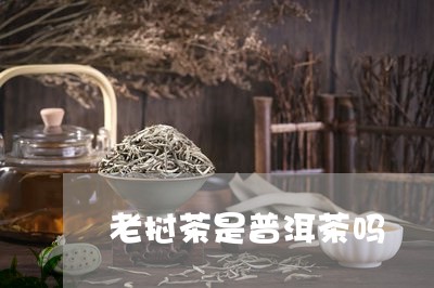 老挝茶是普洱茶吗/2023041117392