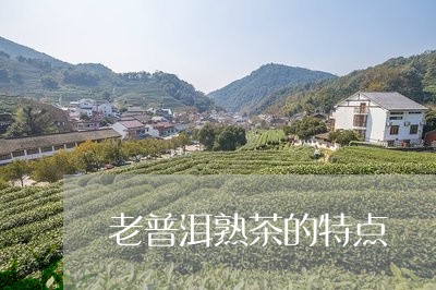 老普洱熟茶的特点/2023032959371