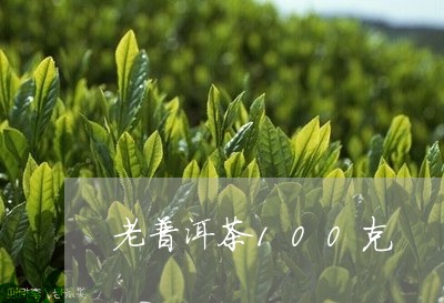 老普洱茶100克/2023041253914