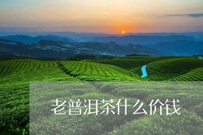 老普洱茶什么价钱/2023031850782