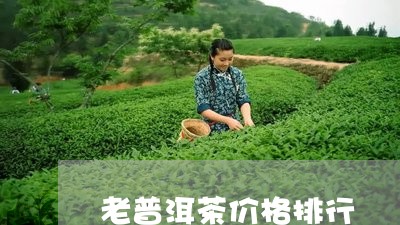 老普洱茶价格排行/2023040985147