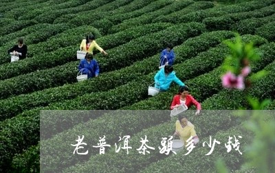 老普洱茶头多少钱/2023033103257